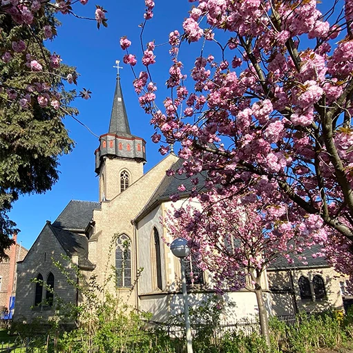 Kirche und Kirschblüte